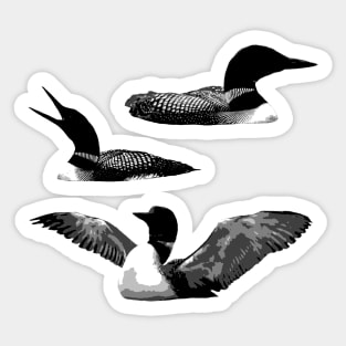 Loons Sticker